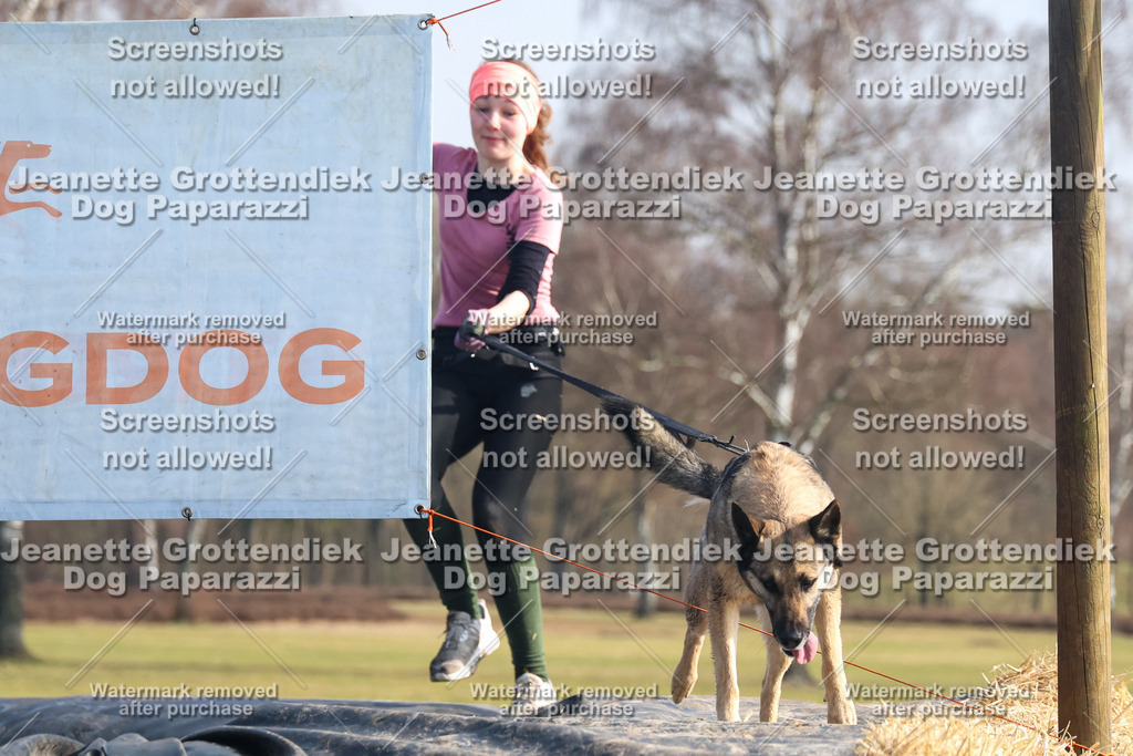 Dog Paparazzi - Strongdog North Mrz26-1774 | Dog Paparazzi Jeanette Grottendiek Fotografie & Videografie - Realisiert mit Pictrs.com