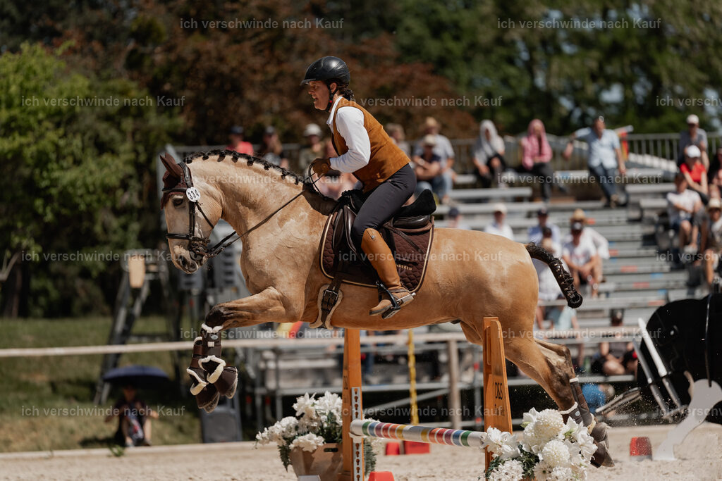 WE_SP_Stoib_334_PI2025_1810 | Pferd International München 2025