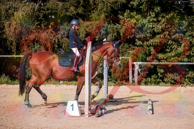 2026_10_03_Siefer-Hof_143733_Z81_06202697 | Professionelle Reitsport-, Turnier- und Eventfotografie von Robert Broda. Galerien mit ausgewählten und bearbeiteten Bildern direkt online ansehen und bestellen.