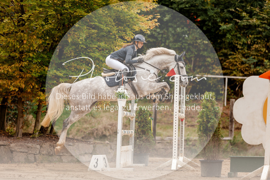 3I6A8190 | Stimmungsvolle Portraits und Reitsportfotografie im Ruhrgebiet und im Münsterland.

Pferdefotografie, Hundefotografie, Tierfotografie, Reportagen, Portraits von Tier und Mensch, Turnierfotografie in Bochum, Recklinghausen, Marl, Haltern am See, Dülmen.. - Realisiert mit Pictrs.com