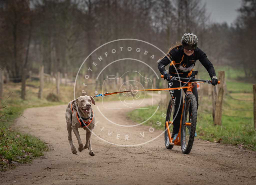 Pfotenfotografie_DV3A2482 | Hundefotografie, Tierfotograf, Pfotenfotografie, Fotoshooting Hund, Hunde Portrait, Hundesport, Hundeportraits, Heideshooting, Hunde, Sportfotograf, Hundefotograf, Turnierhundsport, THS,  - Realisiert mit Pictrs.com