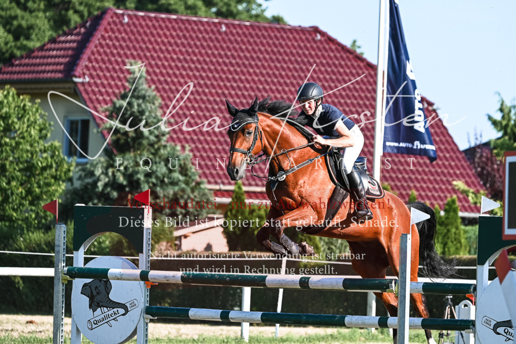 DSC_2689 | Pferde- und Turnierfotografie in Westsachsen. Pferdeportraits, Auftragszeichnungen und intuitive Kunst.