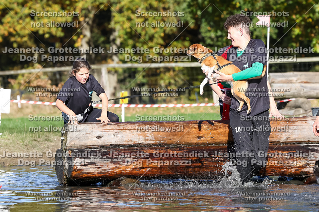Dog Paparazzi - Strongdog 10-25-8953 | Dog Paparazzi Jeanette Grottendiek Fotografie & Videografie - Realisiert mit Pictrs.com