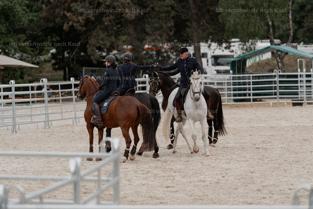 WE__Stoib_Rinder_PI2025_3121 | Pferd International München 2025