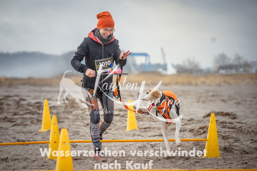 1129_ZZ98672 | kk-dogfotos