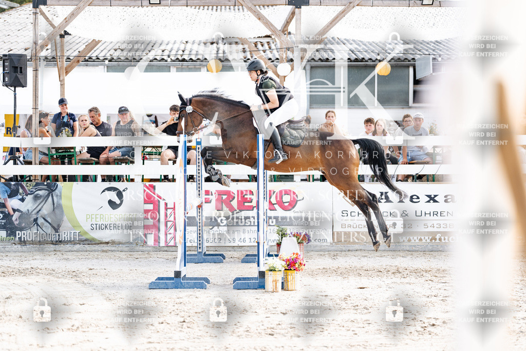 CK906272 | Turnierfotografie Pferdefotografie Trier Rheinland-Pfalz Pferdesport Reitsport Tierfotografie Sportfotografie Pferdevideo Pferdevideografie Equestrianvideography equestrianphotography  - Realisiert mit Pictrs.com