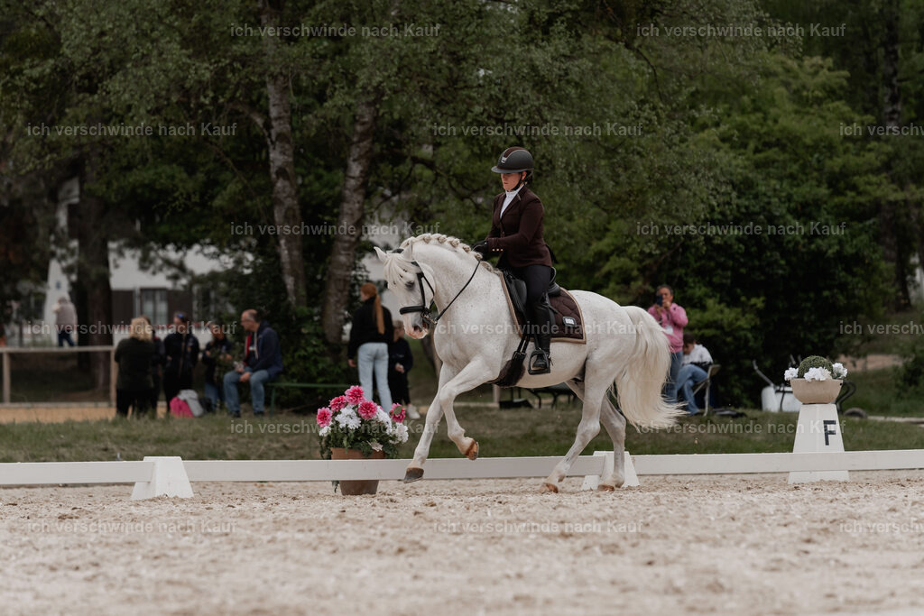 WE_DR_Stoib_318_PI2025_495 | Pferd International München 2025