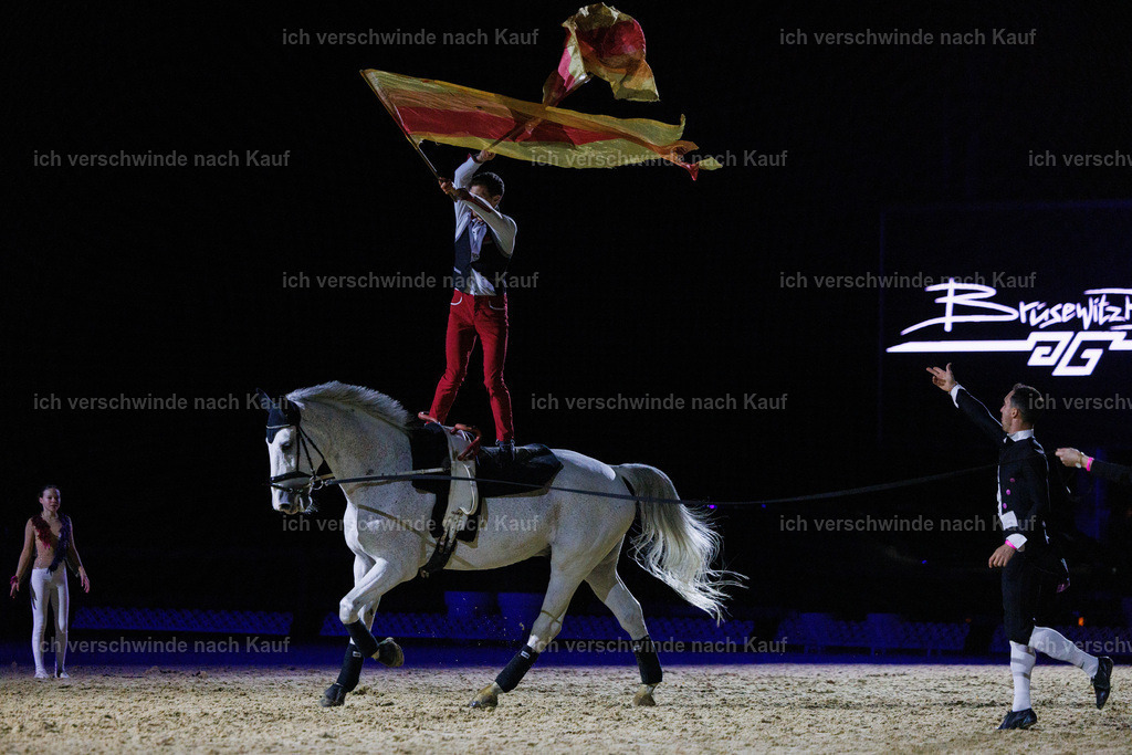 FHClassics-238 | working equitationturnier fotograf videograf stoibphotography marixx film working equitation deutschland reitsport turnierfotografie eventfotografie equestrian events