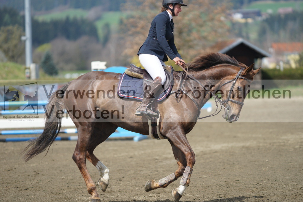DSC04188 | equestrian-live-com