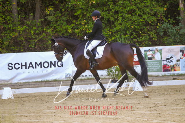 DKP41452 | Turniersportfotografie; Pferdefotografie; Dressurfotografie