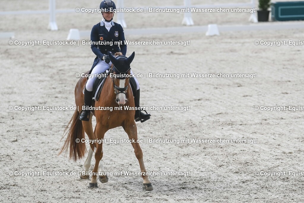 20250516_CCI2_Dressur_0256 | Foto: Thomas Hartig