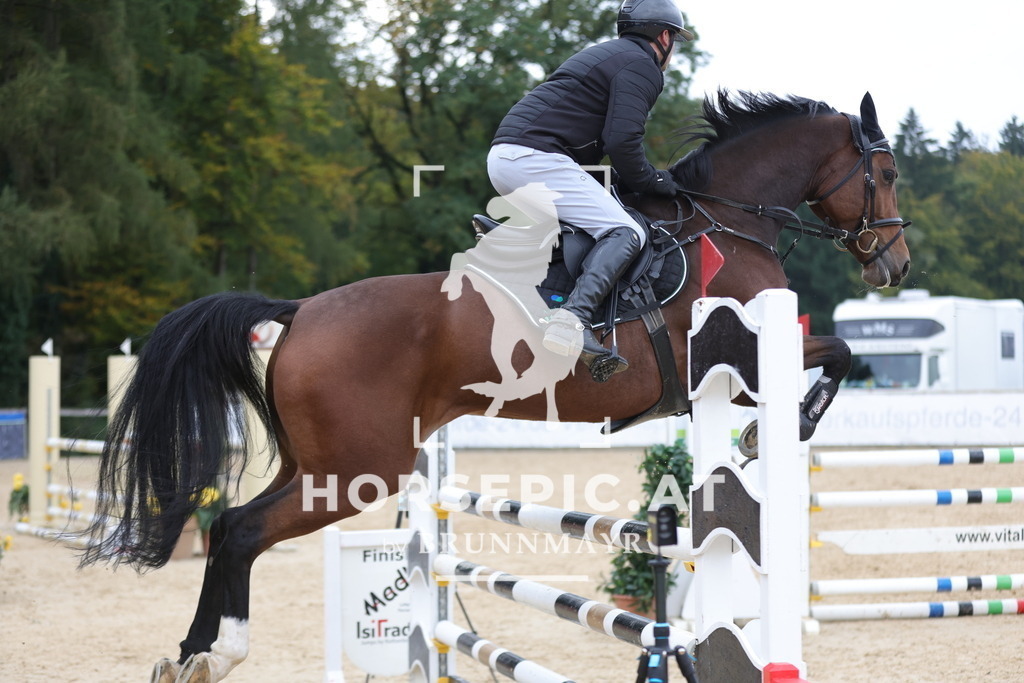 0P6A3541 | Willkommen bei Brunnmayr - Design & Fotografie – Ihrem Spezialisten für Reitturniere und Pferdeveranstaltungen in Oberösterreich, Salzburg und Bayern! Seit über 17 Jahren sind wir leidenschaftlich dabei.