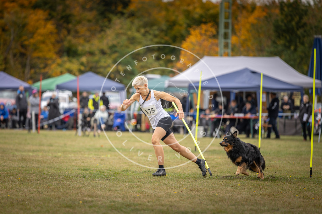 Pfotenfotografie_DV3A5751 | Hundefotografie, Tierfotograf, Pfotenfotografie, Fotoshooting Hund, Hunde Portrait, Hundesport, Hundeportraits, Heideshooting, Hunde, Sportfotograf, Hundefotograf, Turnierhundsport, THS,  - Realisiert mit Pictrs.com