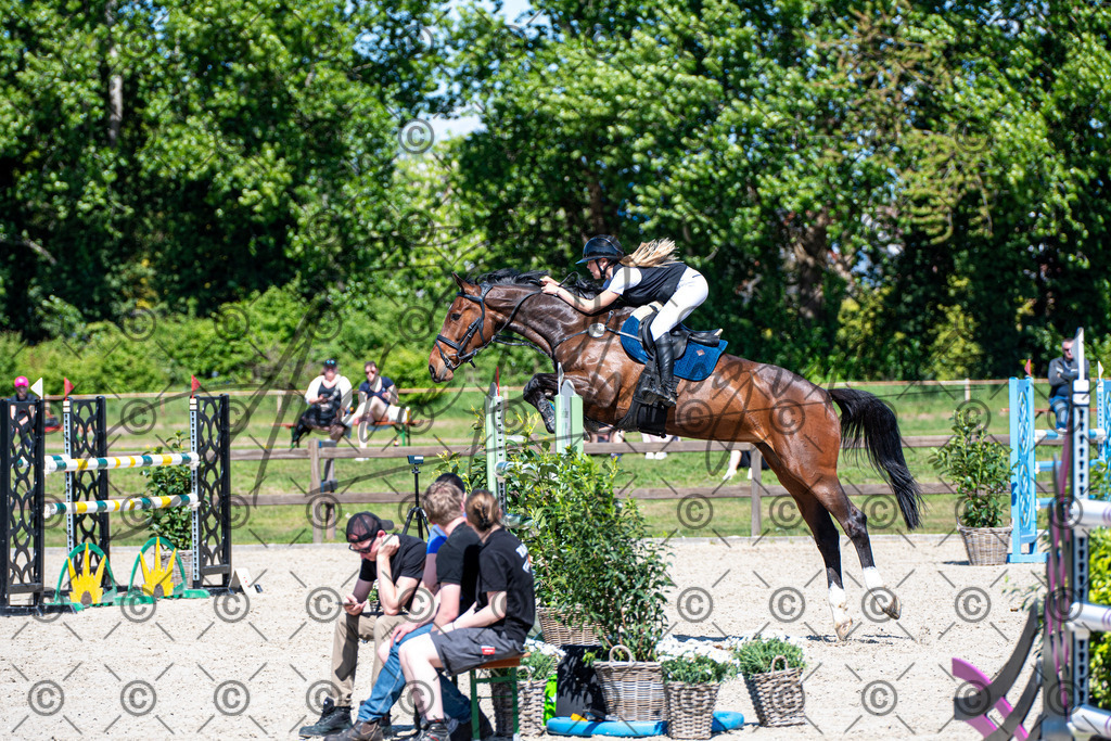 KPT_1121 | andre_photographic