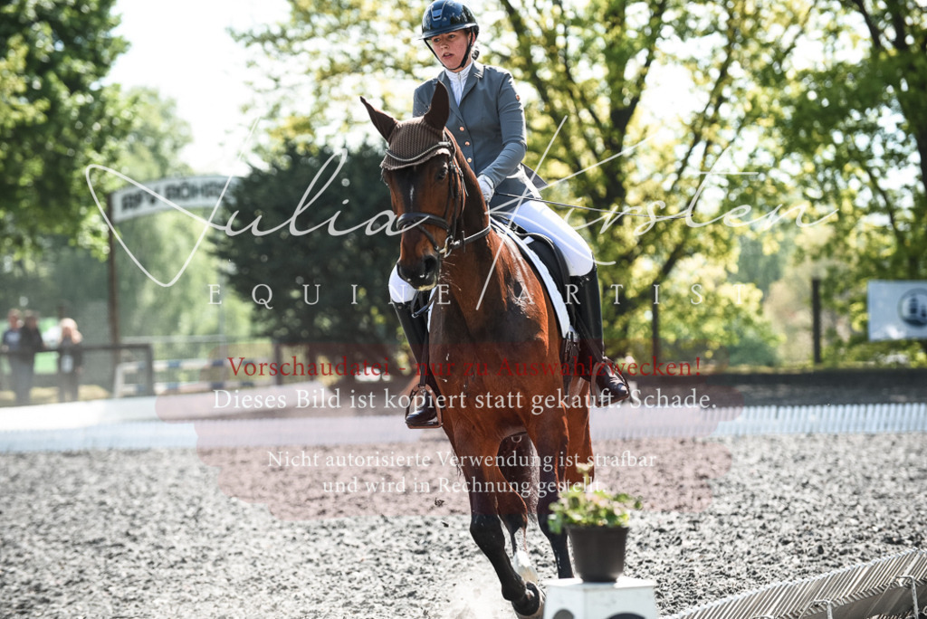 DSC_8971 | Pferde- und Turnierfotografie in Westsachsen. Pferdeportraits, Auftragszeichnungen und intuitive Kunst.