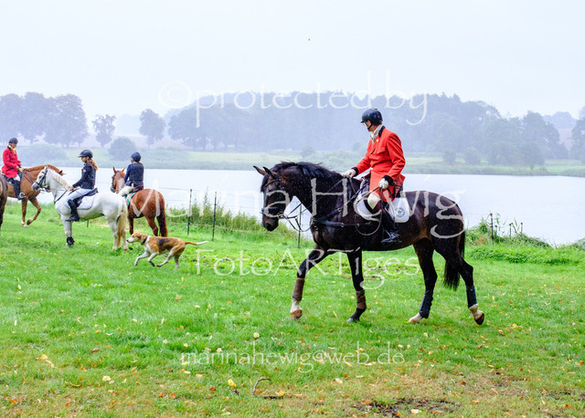 Jagd Kletkamp 26-9503_MarinaHewig | Fotografie, FotoArt, PferdesportArt, Pferdesportfotografie, Landschaftsfotografie, Reisefotografie, Reise, Pferde - Realisiert mit Pictrs.com