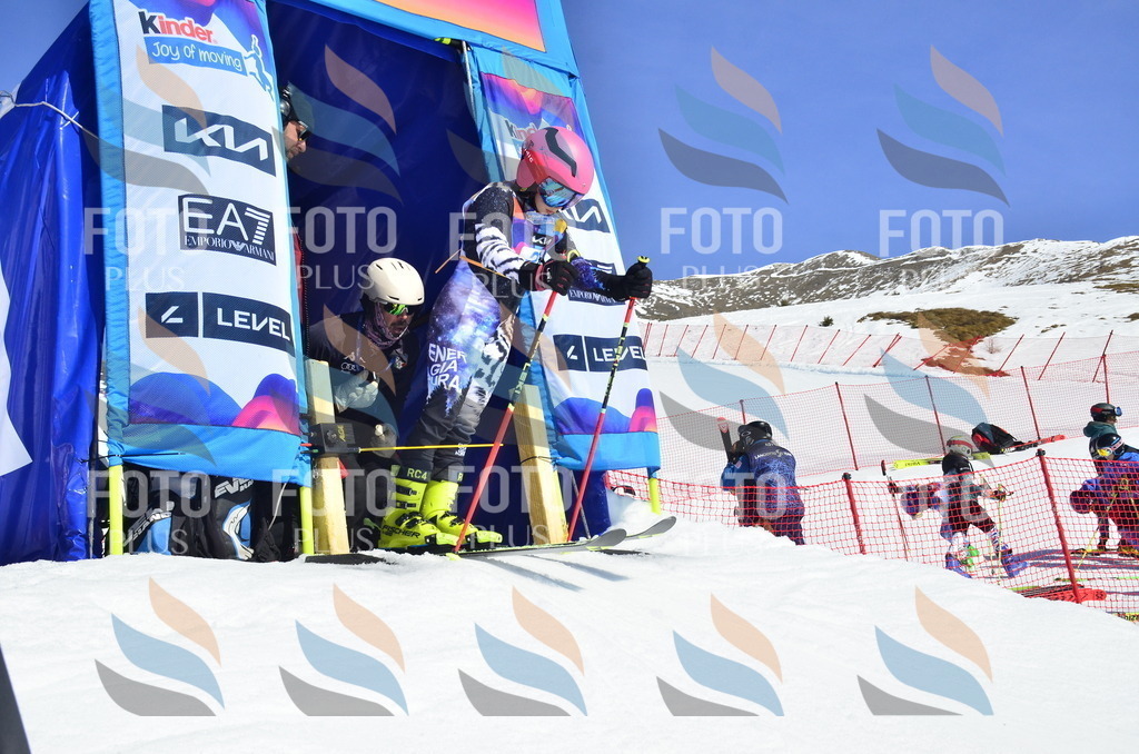 _ELE9953 | holidayphoto