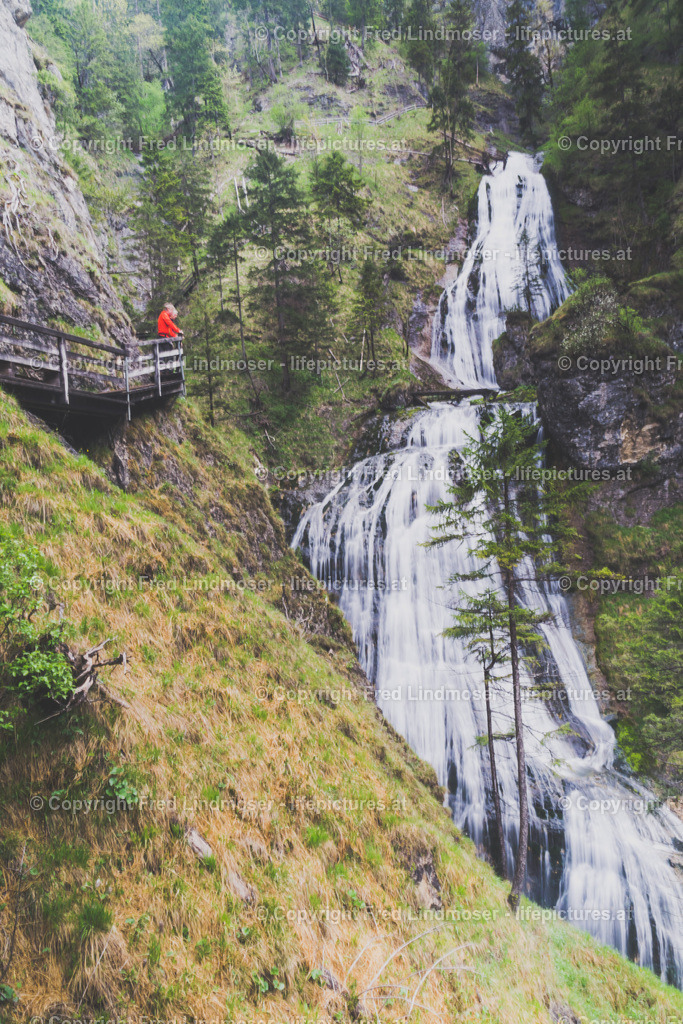 Wasserloch Palfau-02837 | Fotos und Fotoprodukte - Realisiert mit Pictrs.com