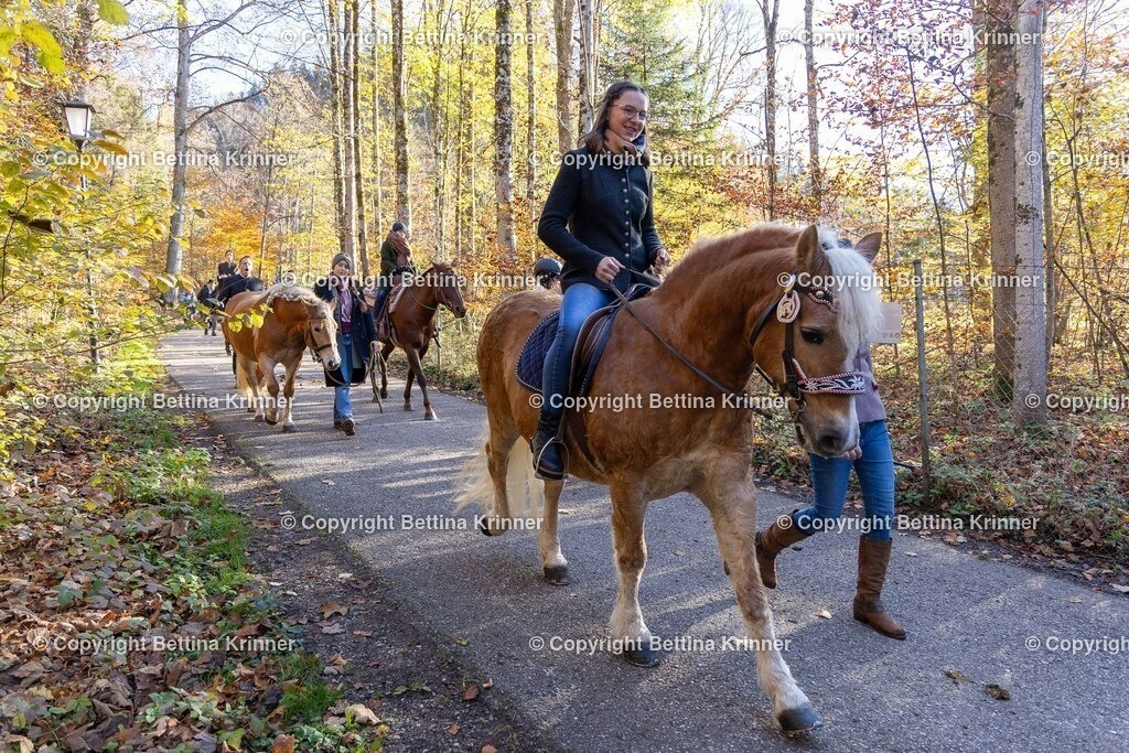 LL24-366 | foto-bettina-krinner - Realisiert mit Pictrs.com