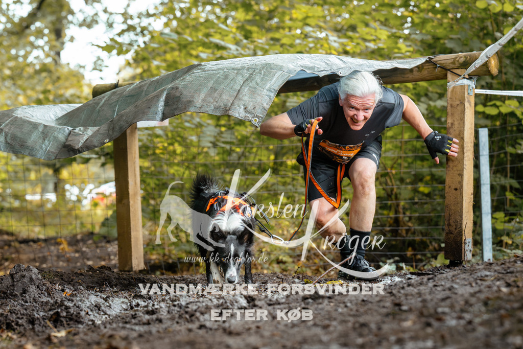 1426DZ6_2022Z6 | kk-dogfotos