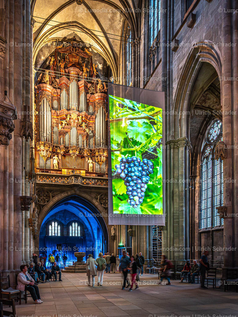 _ulrichschrader.com-245 - Nacht der Kirchen in Halberstadt | Stockfoto und Bilderpool mit Bildmaterial aus Deutschland, dem Harz, Halberstadt, Quedlinburg, Wernigerode und weltweit. Qualitativ hochwertige und professionelle Fotos anschauen und kaufen. - Realisiert mit Pictrs.com