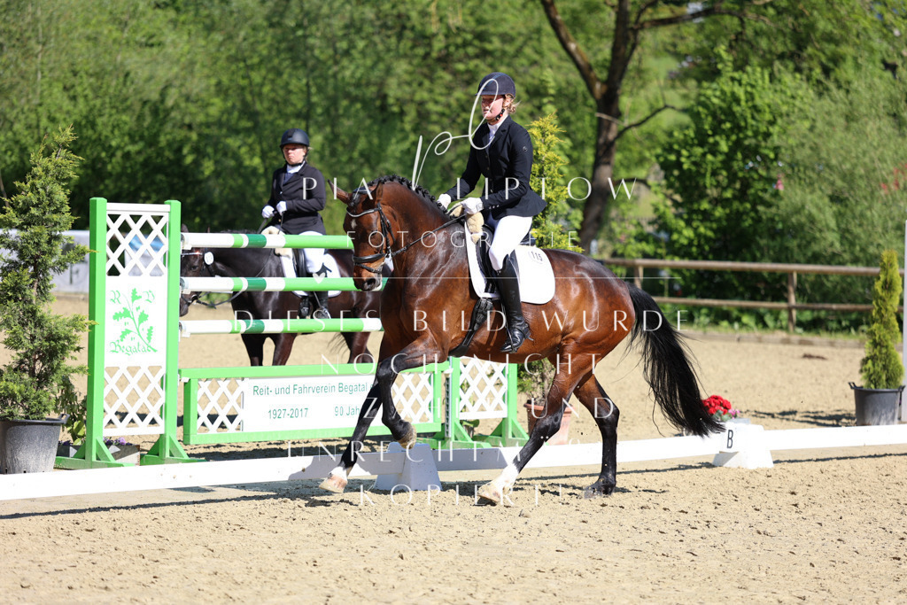 IMGT0339 | pl-fotografie