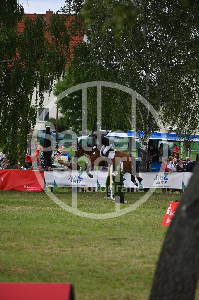 DSC_3280 | sattelsport - Realisiert mit Pictrs.com