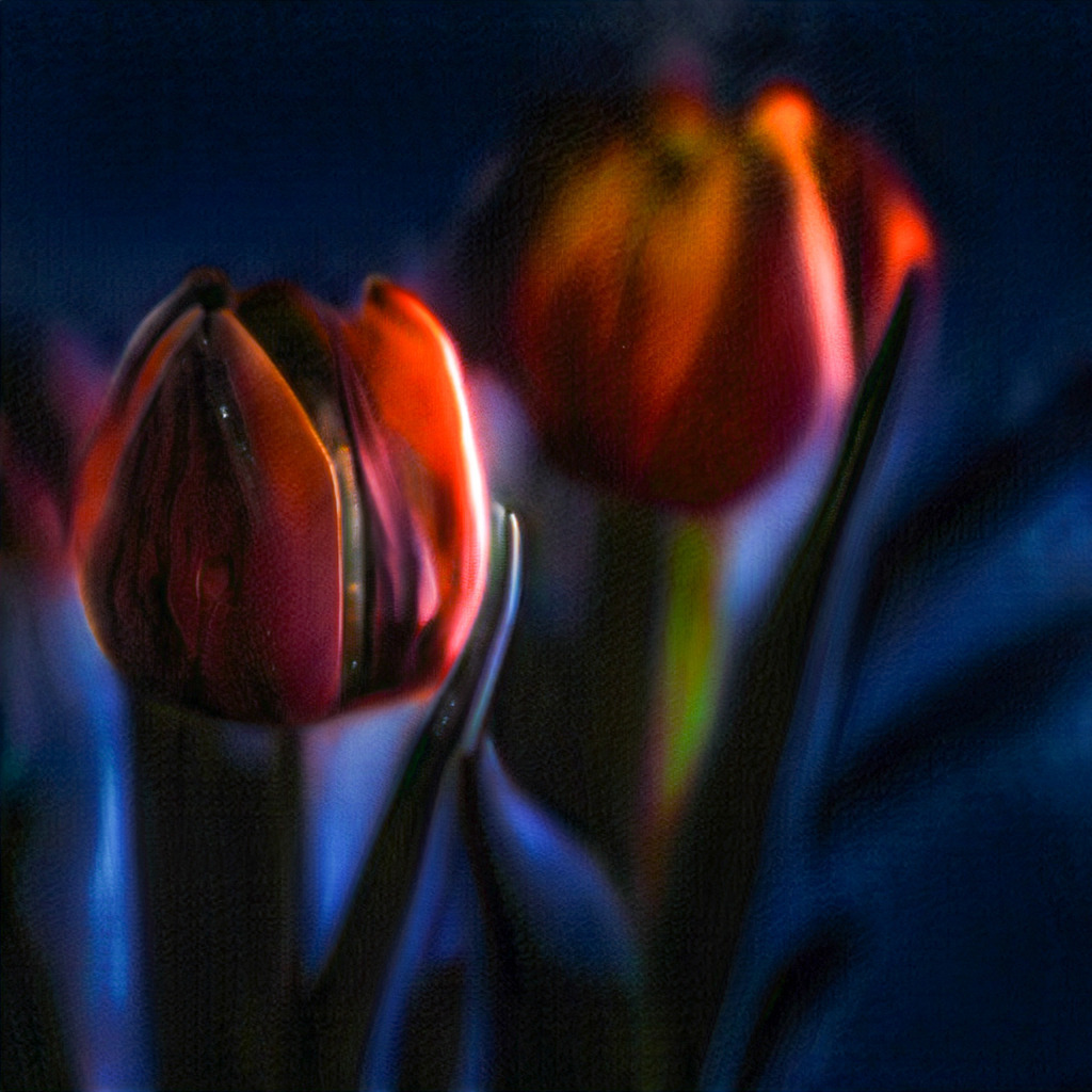 2024_04_01 A7C011623 6 | bridgeman - Realisiert mit Pictrs.com