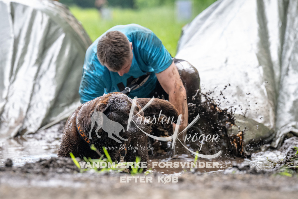 1119_ZZ92391 | kk-dogfotos