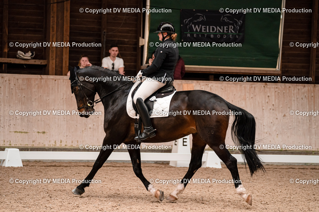 Dressur Tag 2-294 | dv-media-shop - Realisiert mit Pictrs.com