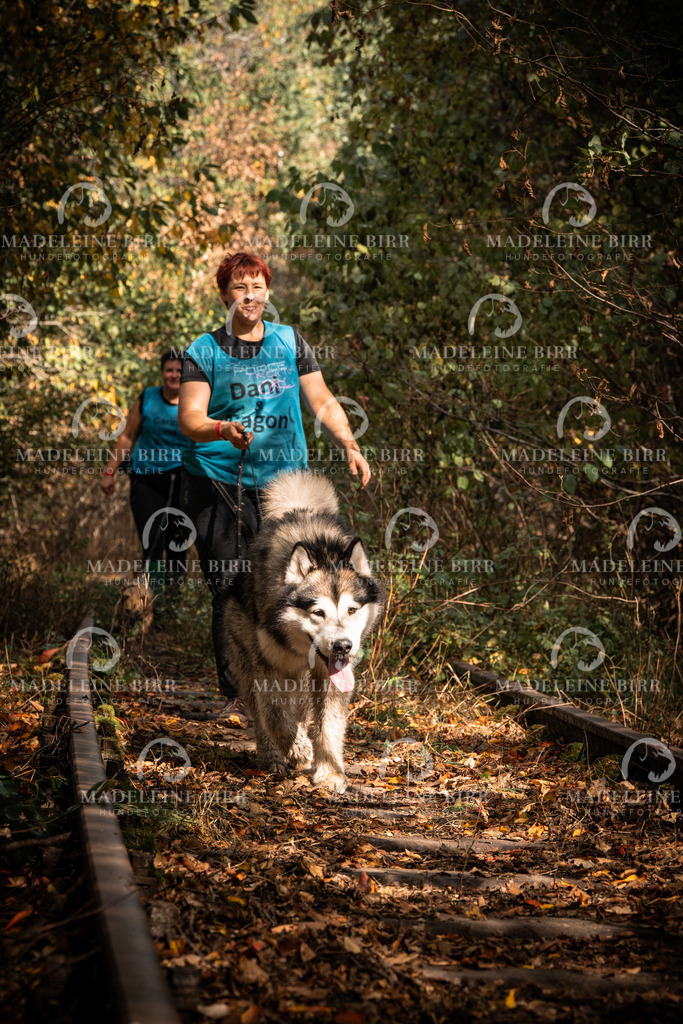 madeleinebirr.fotografie.2026.cc.hunsrueck.12-13Uhr.105 | hundefotografie-birr