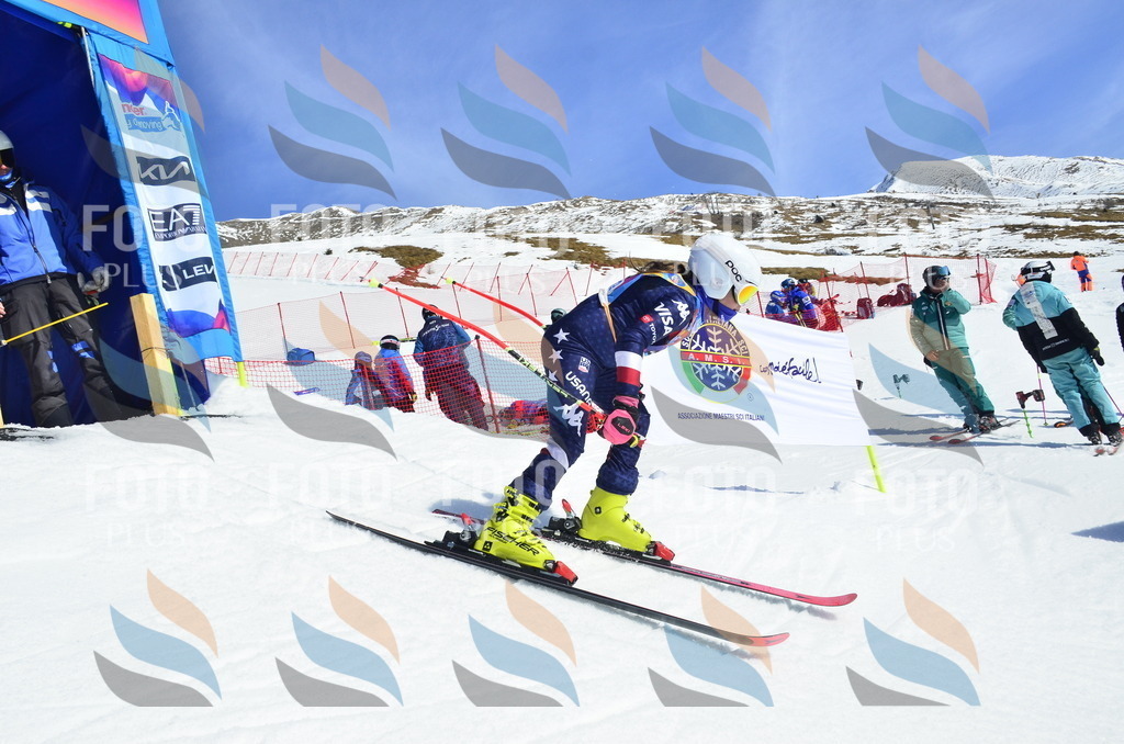 _ELE0721 | holidayphoto