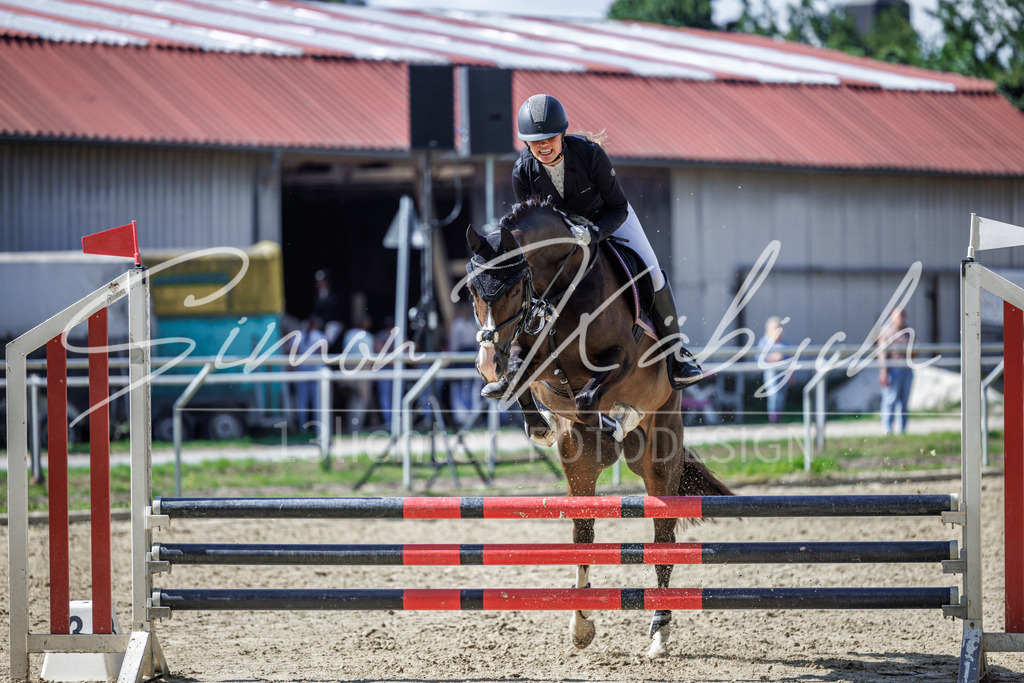 20260905-_3LI9024 | Tierfotografie Pferde, Hunde, Katzen, Haustiere.
Turnierfotografie Reitturniere, Reiten, Springreiten, Dressur in Hanau, dem Main-Kinzig-Kreis und dem Rhein-Main- Gebiet um Frankfurt