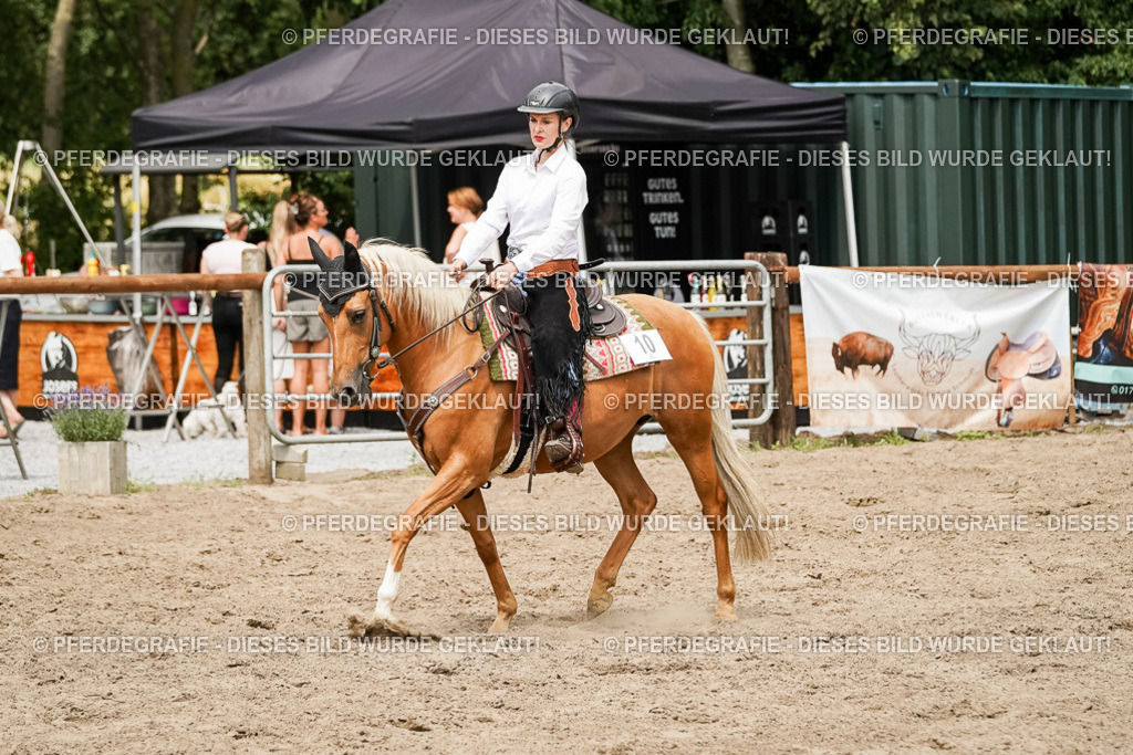 DSC00253 | Pferdegrafie