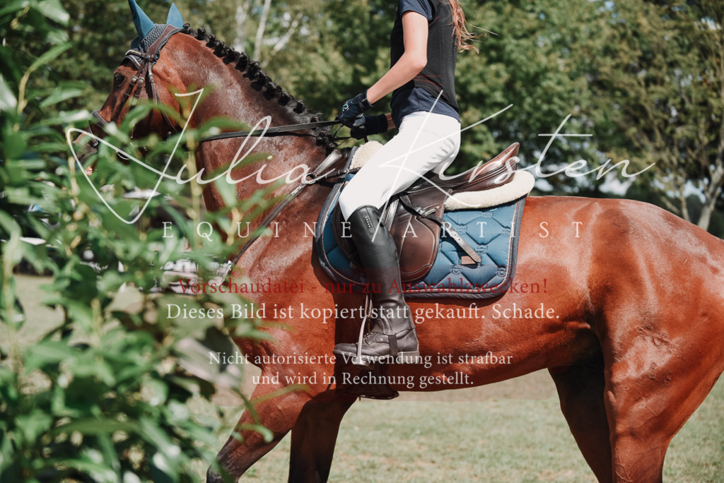 DSC_5671 | Pferde- und Turnierfotografie in Westsachsen. Pferdeportraits, Auftragszeichnungen und intuitive Kunst.