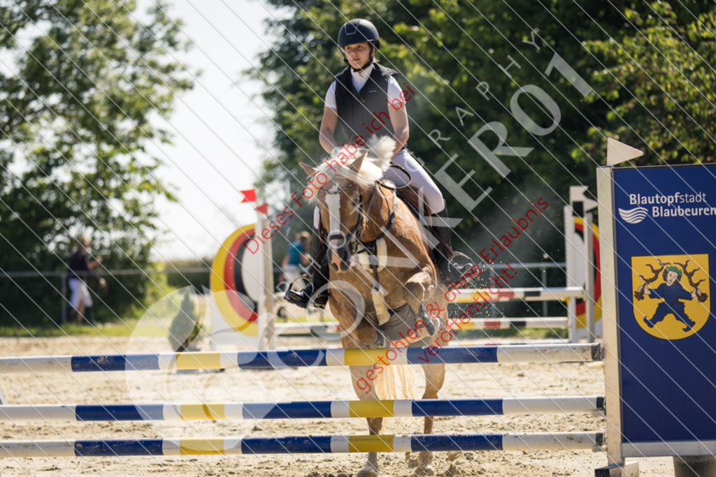 IMG_3022 | Sport-, Event- und Tierfotos in Profiqualität. Einfach auswählen, bestellen und herunterladen. Dein Moment – perfekt festgehalten.