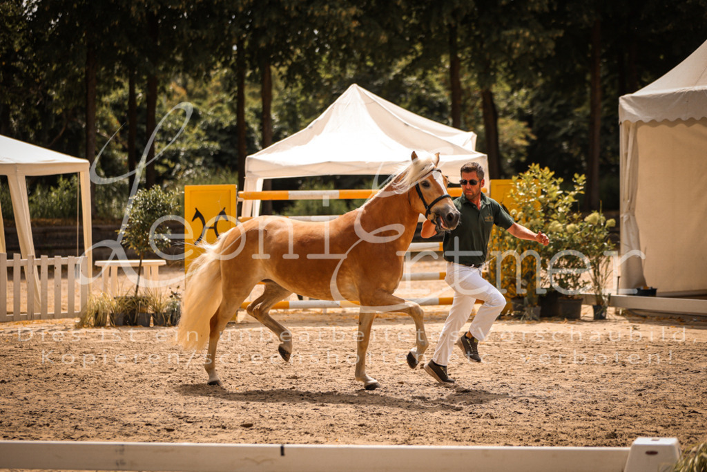 06.So00025 | Leoni Ertmer Photography - Realisiert mit Pictrs.com