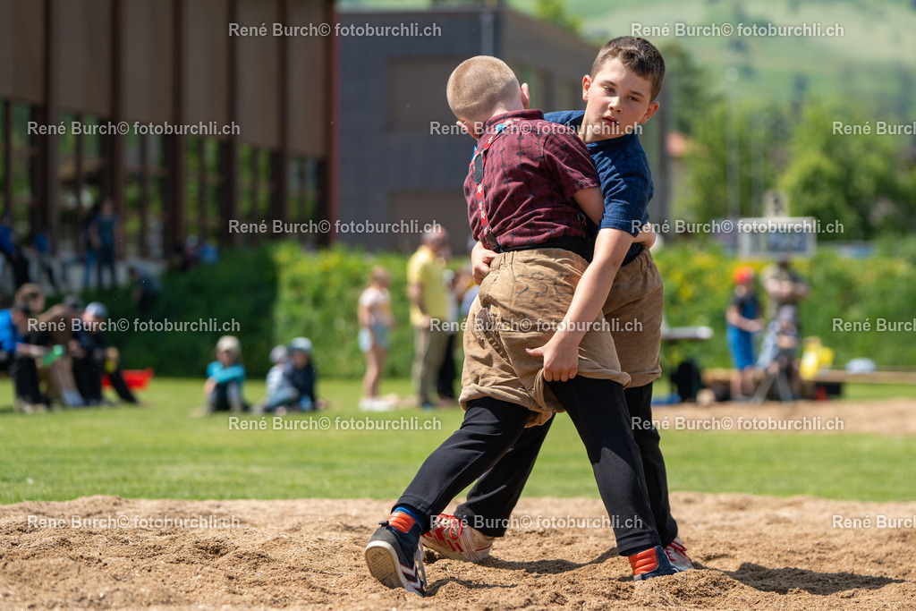 RB-07246 | René Burch leidenschaftlicher Fotograf aus Kerns in Obwalden.  Hier finden sie Sport, Landschaft und Natur Fotografie.
 - Realisiert mit Pictrs.com
