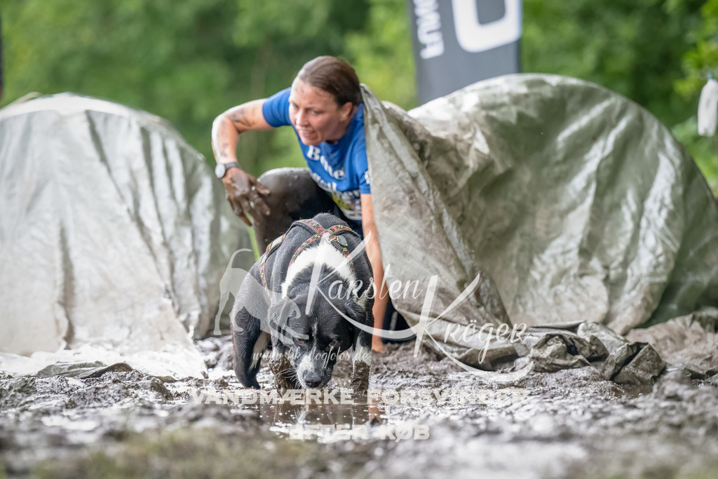 0922_ZZ90872-Bearbeitet | kk-dogfotos
