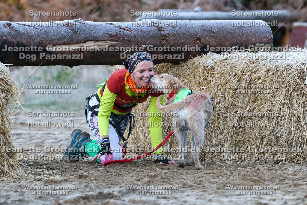 Dog Paparazzi - Strongdog 10-25-239 | Dog Paparazzi Jeanette Grottendiek Fotografie & Videografie - Realisiert mit Pictrs.com