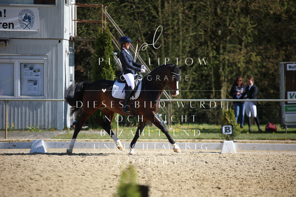 IMGT8405 | pl-fotografie