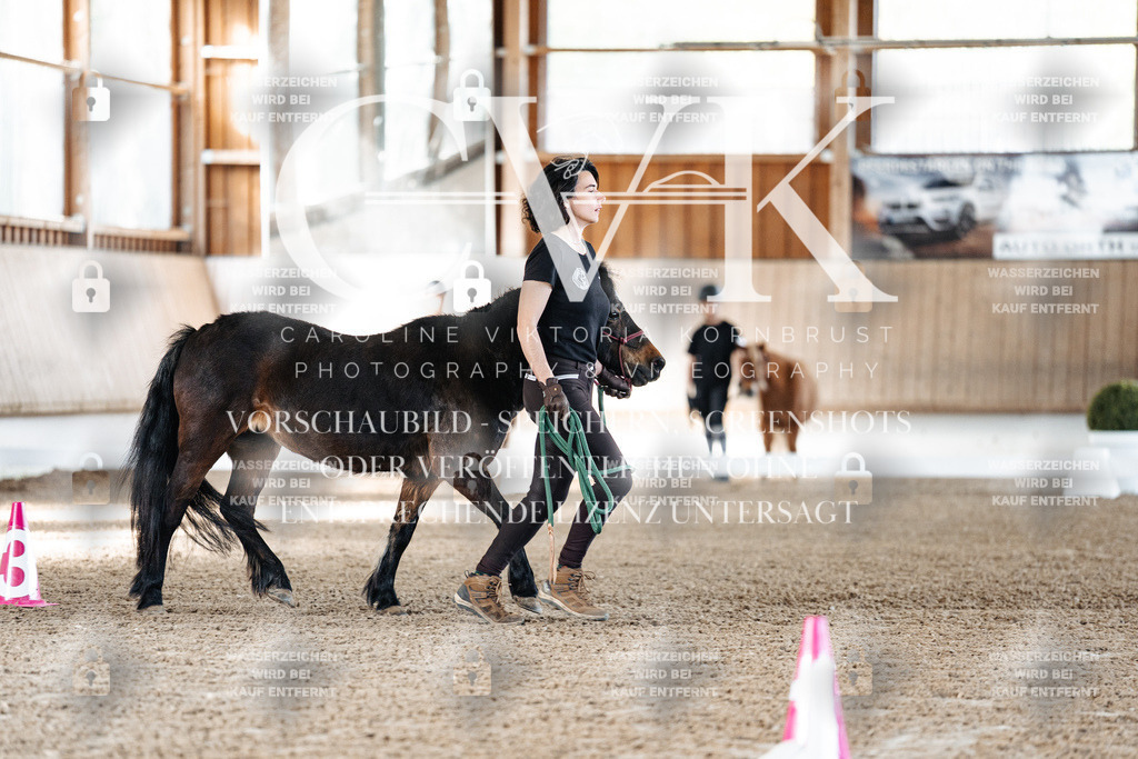 CK905186 | Turnierfotografie Pferdefotografie Trier Rheinland-Pfalz Pferdesport Reitsport Tierfotografie Sportfotografie Pferdevideo Pferdevideografie Equestrianvideography equestrianphotography  - Realisiert mit Pictrs.com