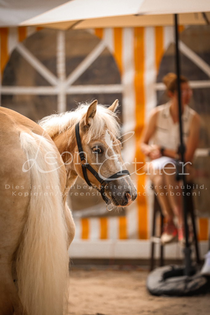 06.So00060 | Leoni Ertmer Photography - Realisiert mit Pictrs.com