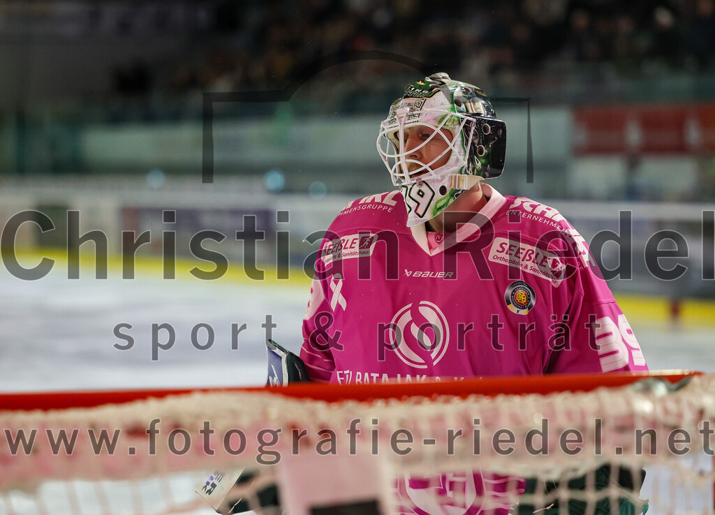 2025-10-28_028_TSV_Erding_gegen_Toelzer_Loewen | Erding, Deutschland, 28.10.2025:Eishockey, Oberliga Süd 2025 / 2026, 13. Spieltag, TSV Erding gegen Tölzer Löwen, Endergebnis: 2:5Torwart Leon Meder (Erding Gladiators, #39)Foto: Christian Riedel / fotografie-riedel.net