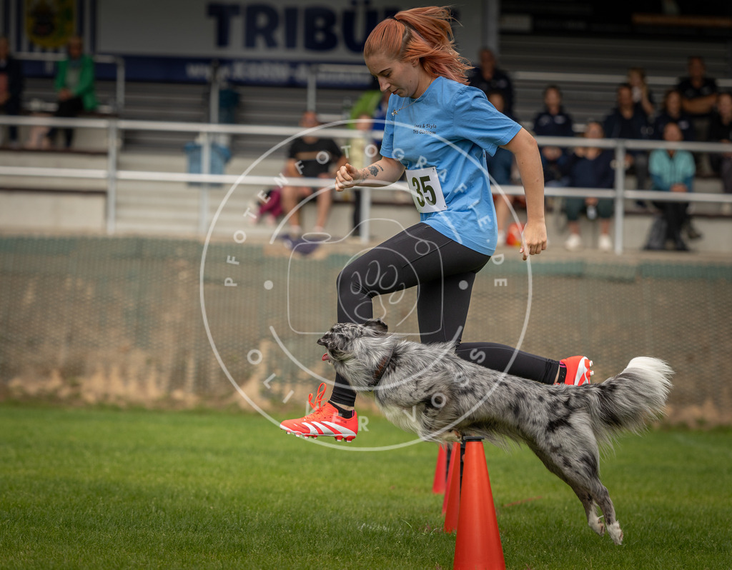 Pfotenfotografie_DV3A1847 | Hundefotografie, Tierfotograf, Pfotenfotografie, Fotoshooting Hund, Hunde Portrait, Hundesport, Hundeportraits, Heideshooting, Hunde, Sportfotograf, Hundefotograf, Turnierhundsport, THS,  - Realisiert mit Pictrs.com