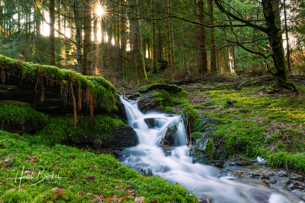Lüttmecke bei Oberkirchen | Lüttmecke bei Oberkirchen im Schmallenberger Sauerland - Realisiert mit Pictrs.com