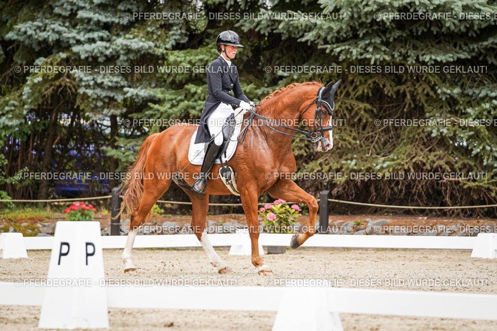 DSC05745 | Pferdegrafie