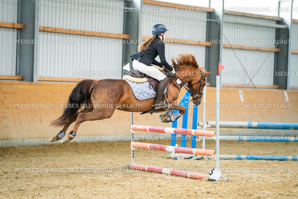 DSC00460 | Pferdegrafie