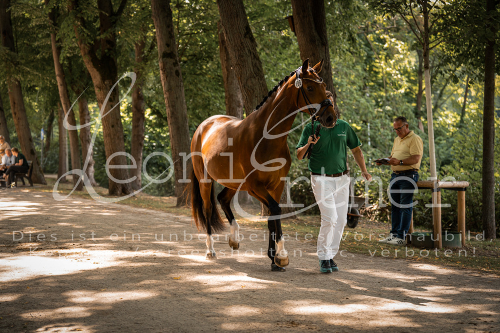 FrPfM00217 | Leoni Ertmer Photography - Realisiert mit Pictrs.com