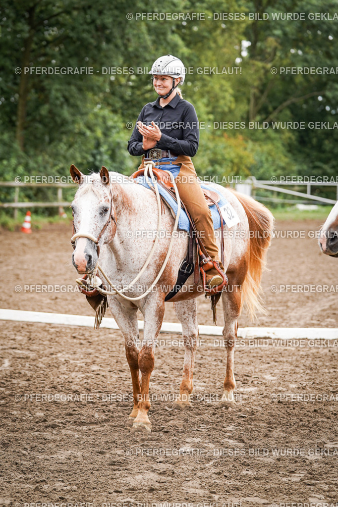 DSC04221 | Pferdegrafie